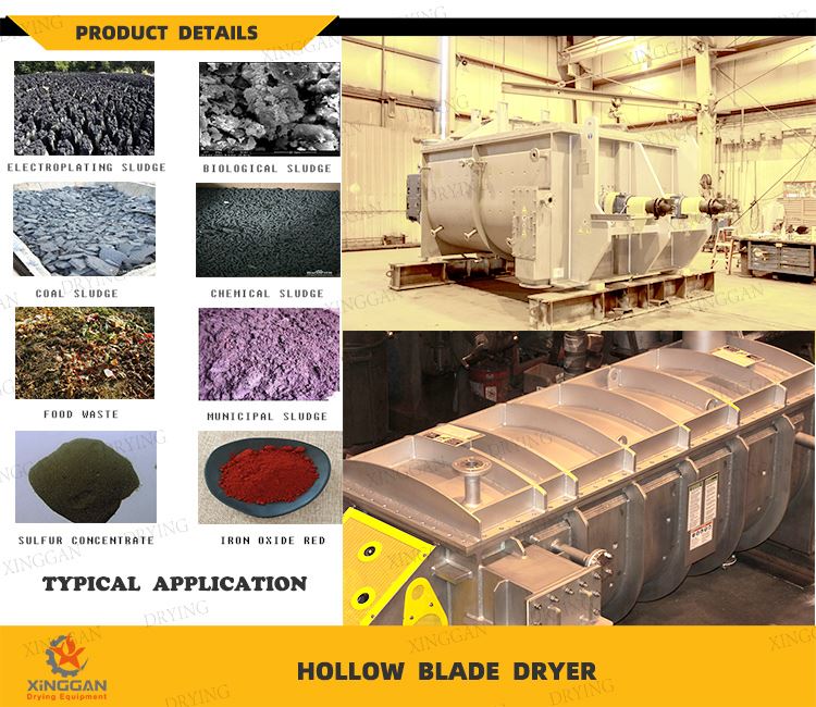 Applications of Hollow Blade Dryer