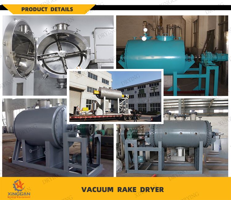 Cases of Vacuum Rake Dryer
