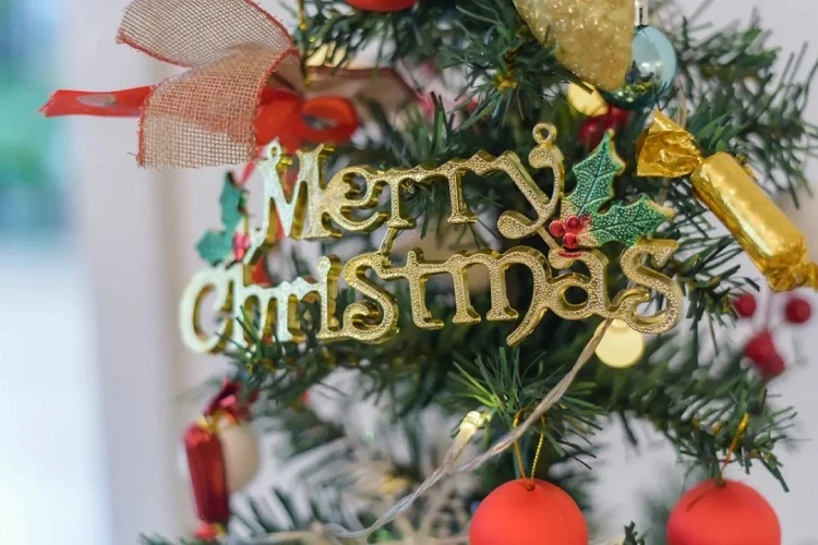 XINGGAN Wishes Everyone A Merry Christmas XINGGAN Wishes Everyone A Merry Christmas